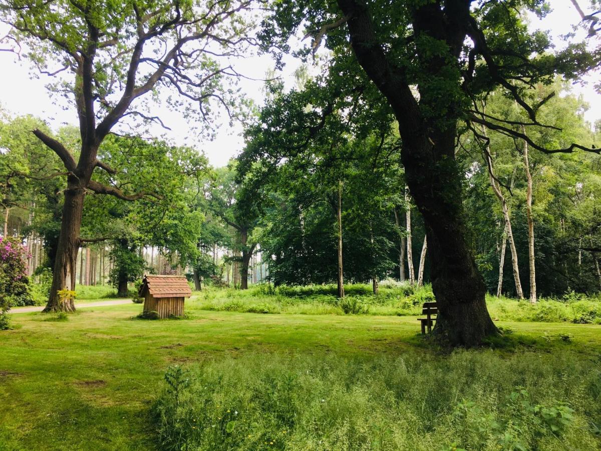 Hollicarrs - Stag Lodge Йорк Екстер'єр фото